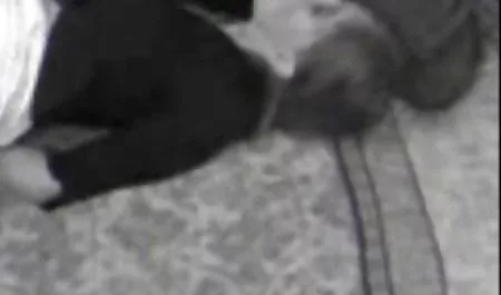준비가 청소년에 포르노 비디오와 이야기 대한,킥킥에서 괄호