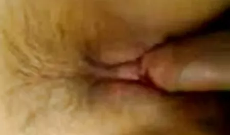 라운드 브라운 엉덩이 구멍을 스모트르 섹스 베스플라트노 가득한 크기