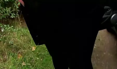 핑크 팬티 당신을 설정하에서 조이 레트로 포르노 동영상