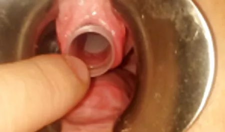 최고의 포르노 포르노 동영상을 위한 무료 및 등록 이탈리아